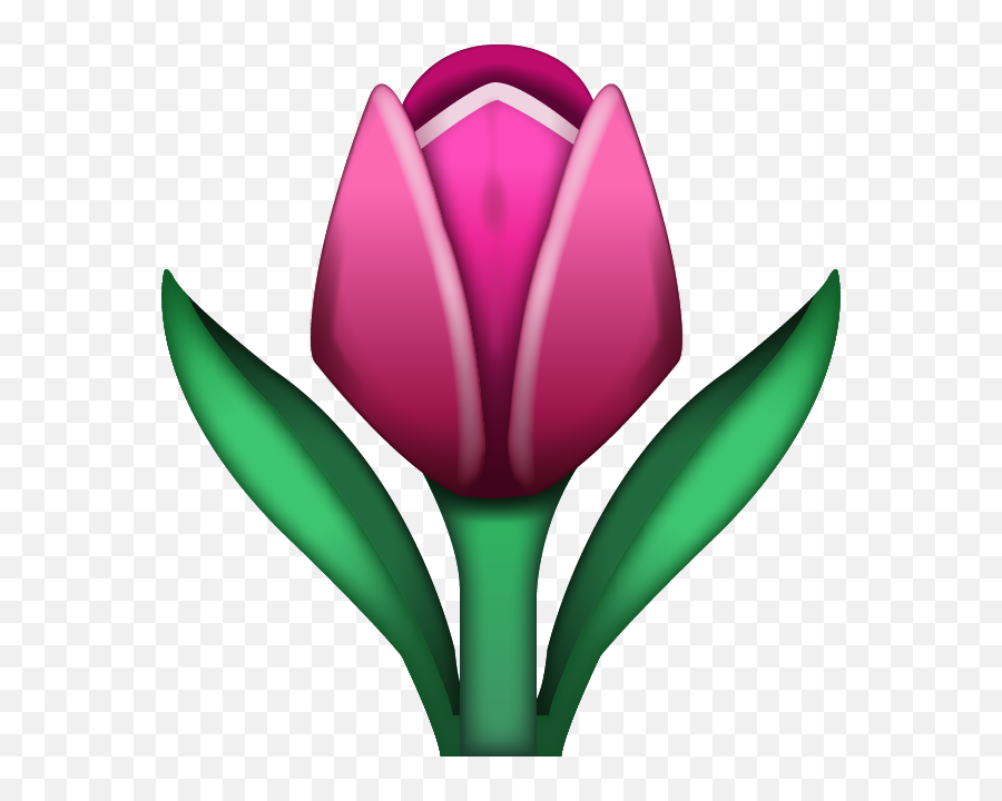 Emoji Flower Png 5 Image - Pink Tulip Emoji Apple,Flower Emoji Png