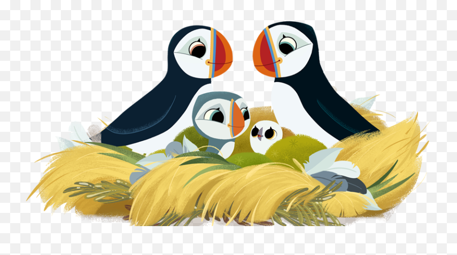 Puffin Png - Puffin Rock Png,Puffin Png