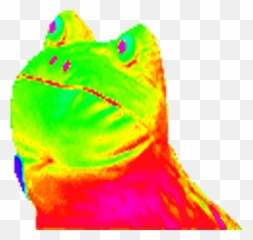 Dank Meme Rainbow Frog Transparent Png - Transparent Dank Png,Crazy Frog Png