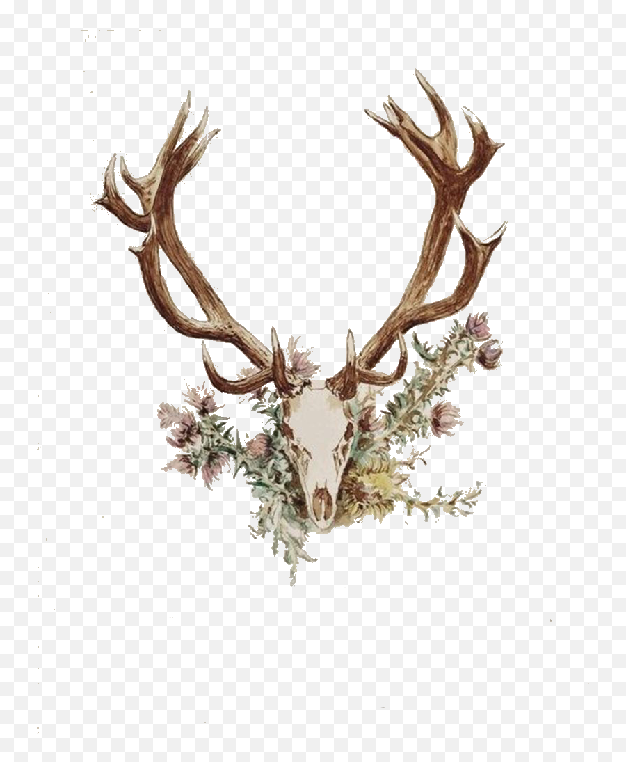 Download Deer Antler Png - Deer Skull With Flowers Tattoo,Antler Png