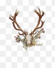 Toothy Deer Man Antlers Roblox Black Iron Antlers Roblox Png Free Transparent Png Images Pngaaa Com - how to get the black iron antlers on roblox