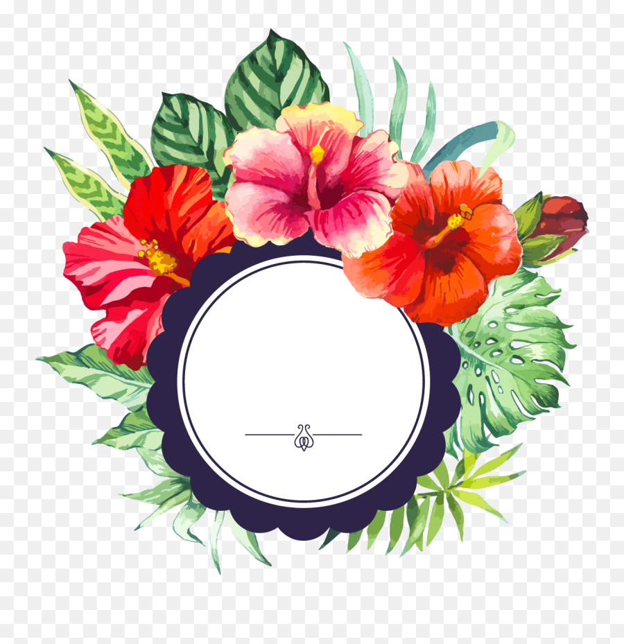 Library Of Hibiscus Flower Border Svg Free Png Files Clipart Floral Border Png Hibiscus Flower Png Free Transparent Png Images Pngaaa Com