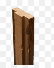 Download File - Onparliamentdoor Plywood Hd Png Download Plywood,Wood Plank Png
