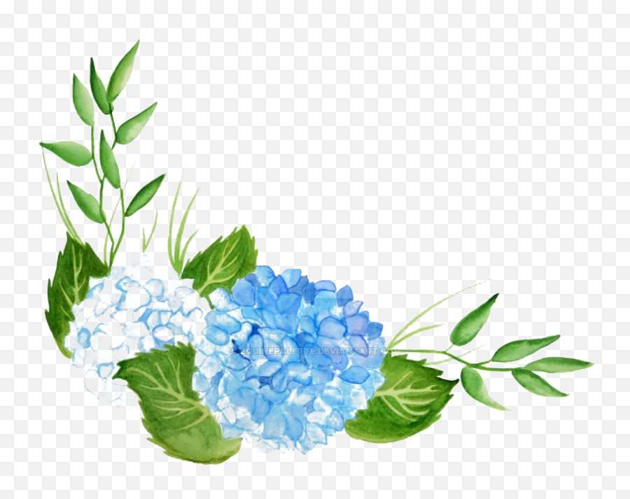 Hydrangea Png Hd - Transparent Background Hydrangea Watercolor Png,Hydrangea Png