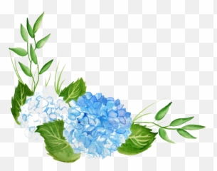 Hydrangea Png Hd - Transparent Background Hydrangea Watercolor Png,Hydrangea Png