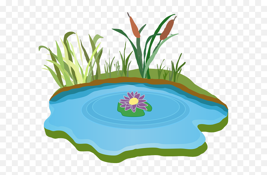 Download Collection Of Free Stream Drawing Pond - Pond Clipart Png,Water Stream Png