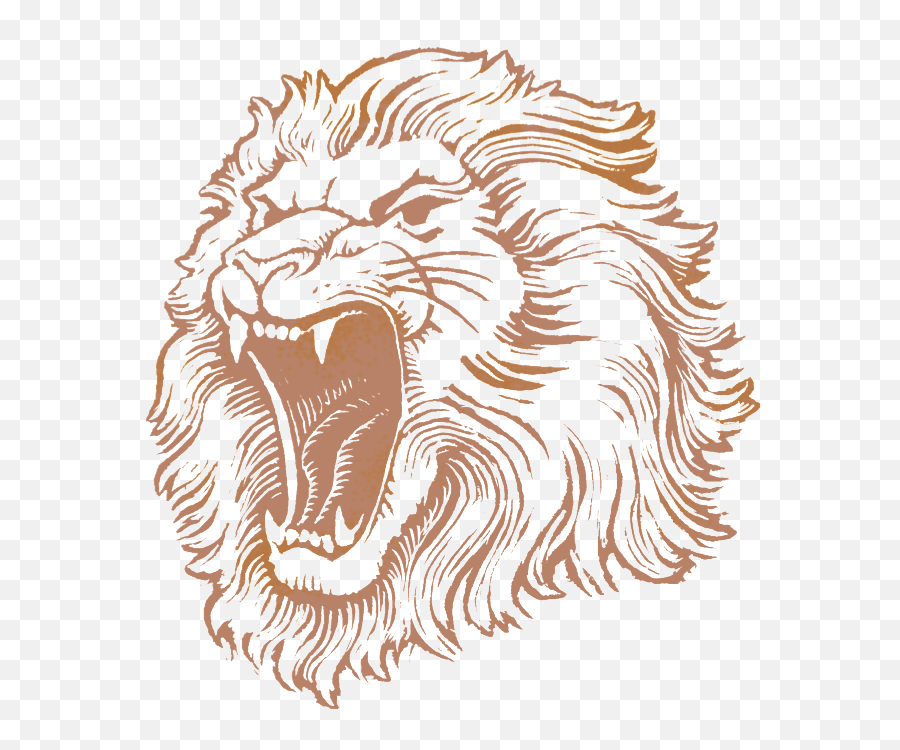 Lion Head Logo Png 3 Image - Lion Face Pics Hd,Lion Png Logo