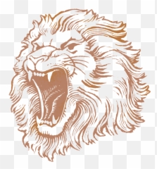 Lion Head Logo Png 3 Image - Face Pics Hd