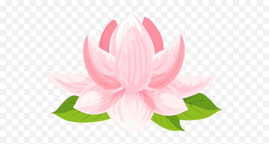 Water Lily Png Clip Art Image - Lily Rose Flower Graphic,Water Lily Png