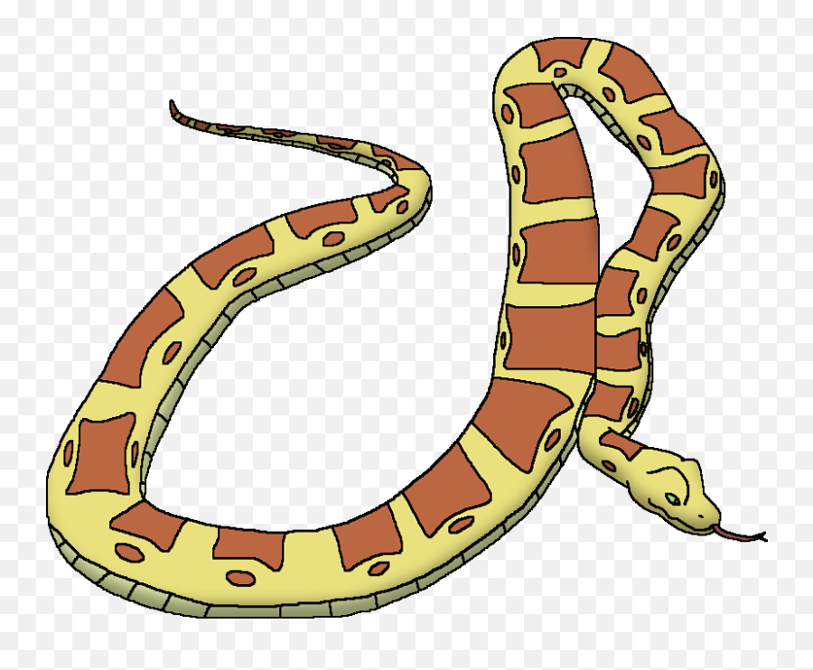 Reticulated Python - Pythone Snake Clipart Png,Snake Emoji Png