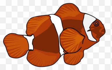 Download Maroon Clownfish Png Image With No Background - Aquarium Fish,Clownfish Png