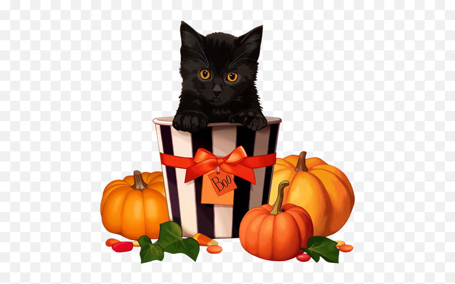 Halloween Time Life And Linda - Happy Halloween Cat Animated Png,Halloween Cat Png