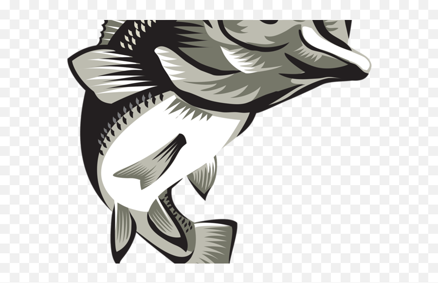 Image2gcode Engraving - How To Improve It Troubleshooting Bass Fish Png Transparent Background,Largemouth Bass Png