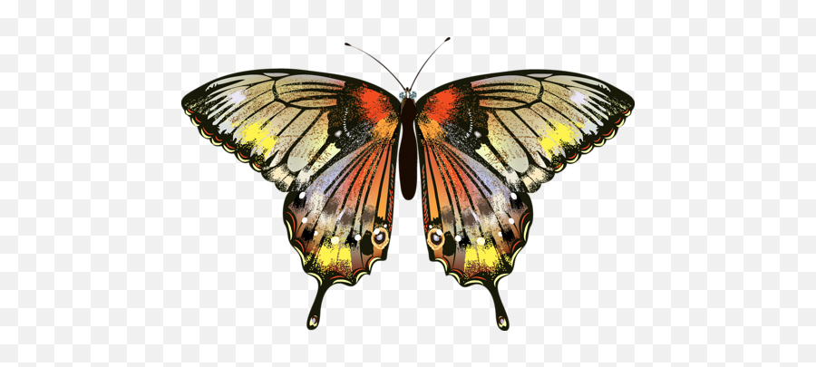 Png Kelebek Görselleri Butterfly - Butterfly 500x324 Swallowtails,Png Butterfly