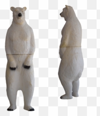 Download Hd Polar Bear Transparent Png Image - Nicepngcom Polar Bear,Polar Bear Png