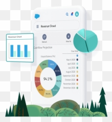Salesforce Revenue Cloud - Salesforcecom png