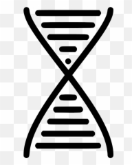 Dna Svg Png Icon Free Download - Magnifying Glass