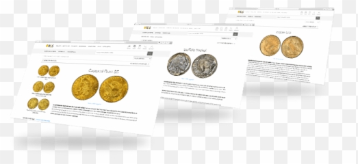 Pcgs The Standard For Rare Coin Industry - Language png