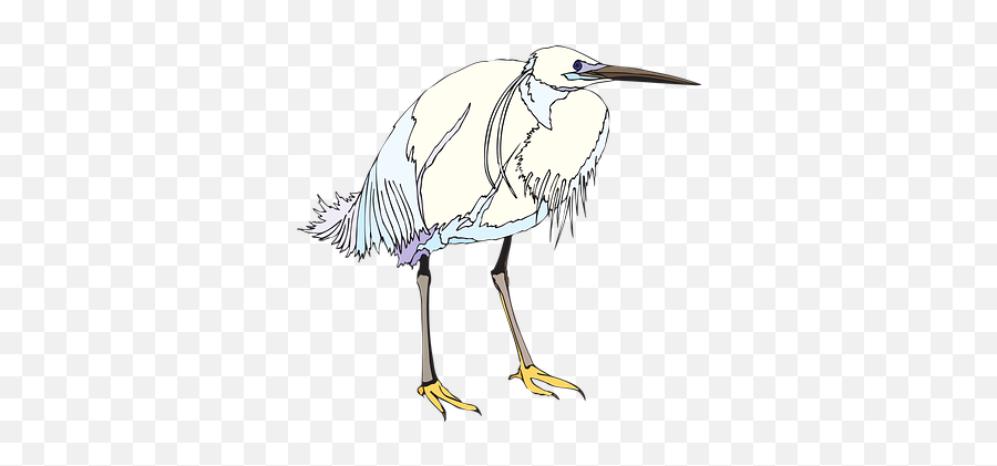 70 Free Heron U0026 Bird Illustrations - Garza Chileno Para Colorear Png,Wetland Icon Sketch