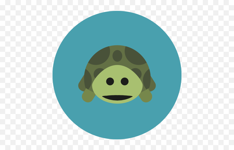 Turtle Icon In Infographic Style - Icon Animal Cute Turtle Png,Toroise Icon