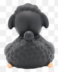 Black Sheep Duck - Design By Lilalu Chicken Png,Rubber Chicken Png