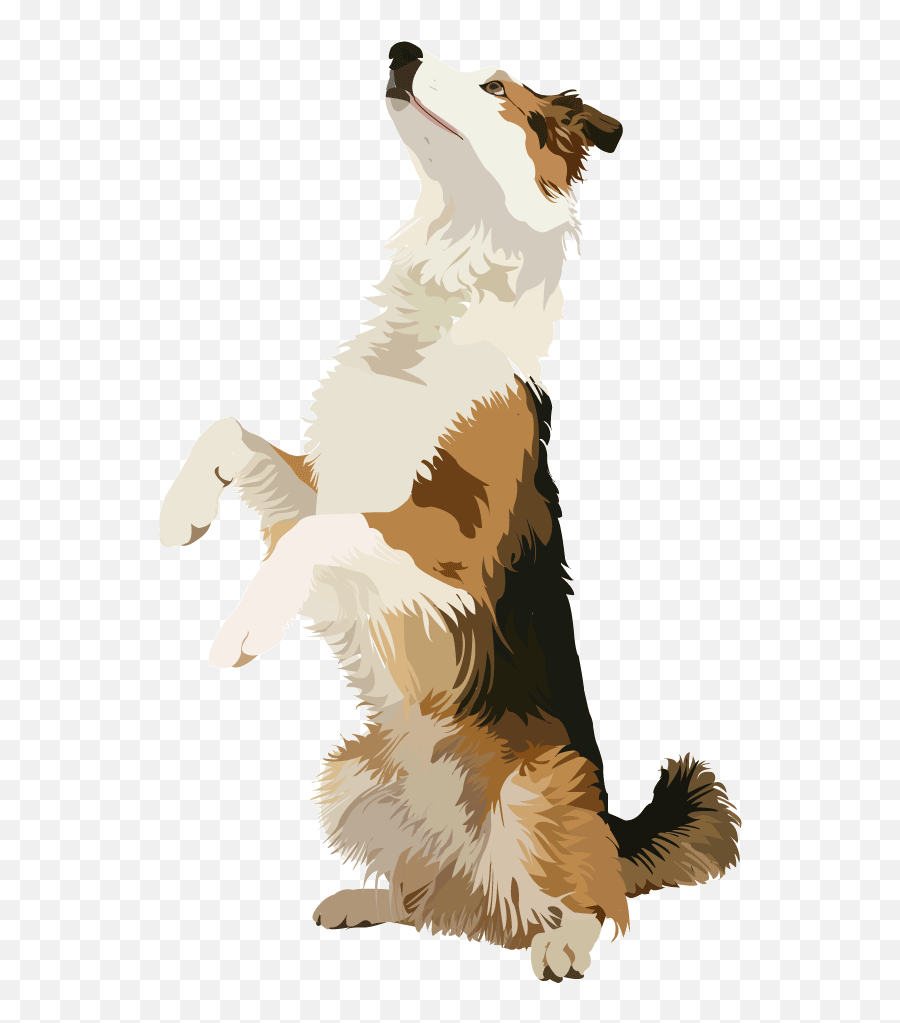 The Dog Traineru0027s Guide To Running Your Facebook Business Page Png Icon Border Collies