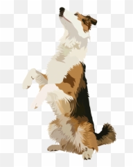 The Dog Traineru0027s Guide To Running Your Facebook Business Page Png