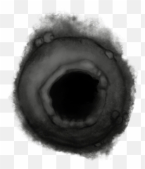 Nature Pack Viii Png Wormhole