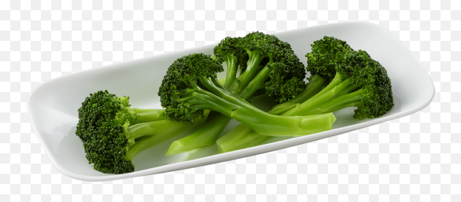 Broccoli U2013 Pnw Veg Co Llc - Broccoli Png,Broccoli Transparent