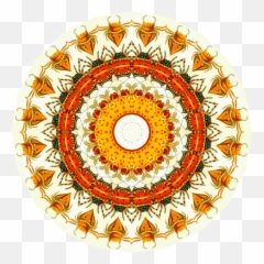 Circlesymmetrycolor Wheel Png Clipart - Royalty Free Svg Png Structure Of Nipah Virus,Color Wheel Png
