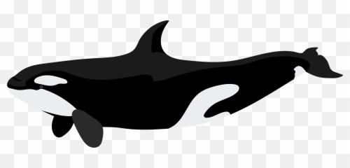 Vector Library Killer Clip Art Orca Png - Killer Whale Clip Art,Whale Clipart Png