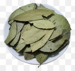 China Laurel Leaf Manufacturers And - Bay png