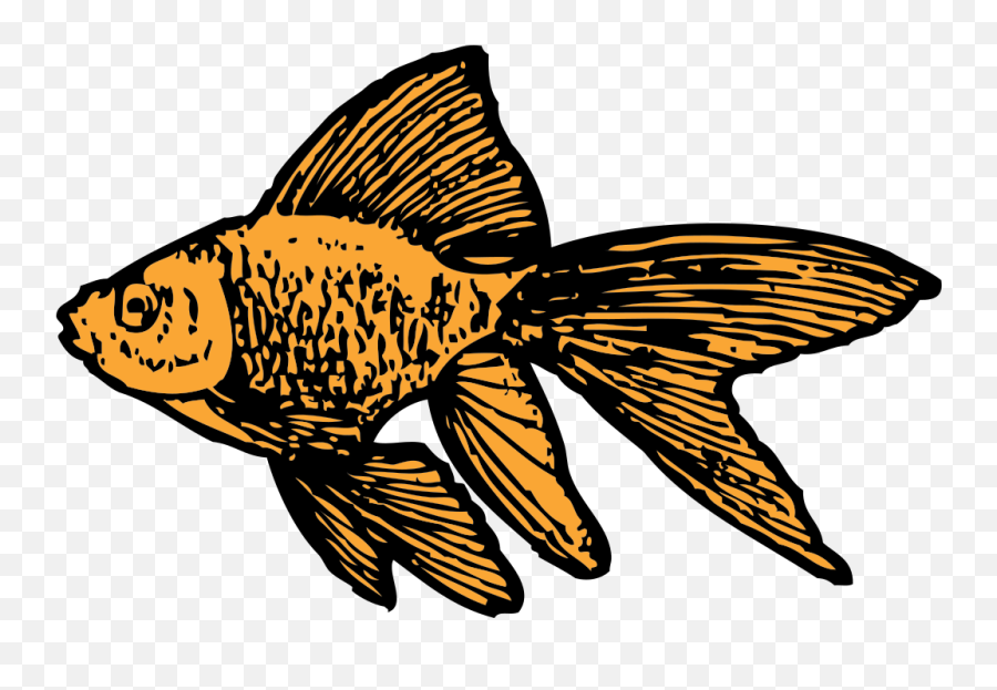 Goldfish Png Svg Clip Art For Web - Download Clip Art Png Goldfish Clip Art,Gold Fish Png