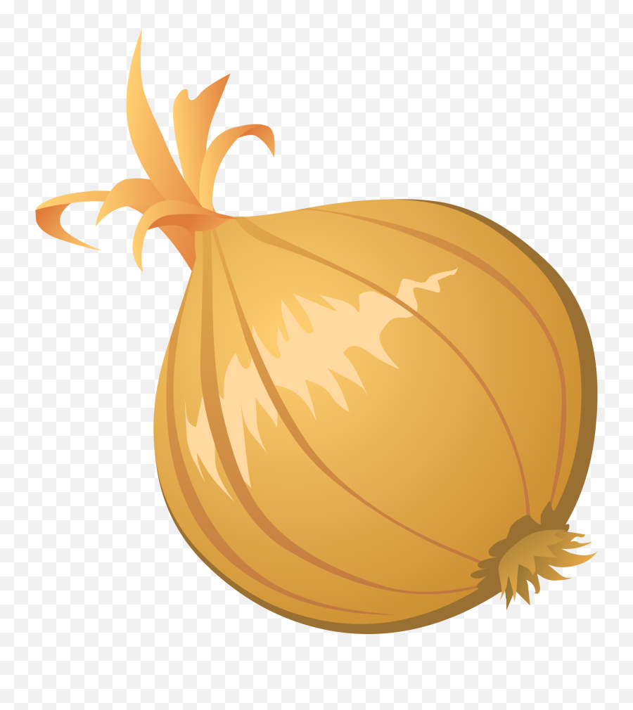 Drawing Vegetable Onion Transparent - Onion Png Clipart,Onion Transparent
