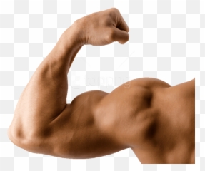Arm - Muscle Png