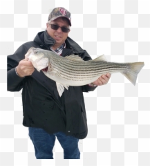 Download Lake Texoma Fishing Report - Fisherman Hd Png Pull Fish Out Of Water,Fisherman Png