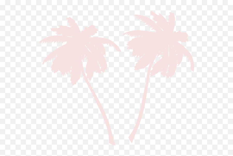 Download Free Png Hd White Palm Tree Outline Transparent - Vector White Palm Tree Png,Tree Outline Png