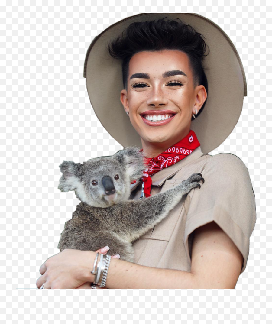 James Charles Ferris - James Charles Snatched Nose Png,James Charles Png