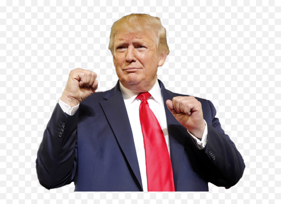 Donald Trump Png Images Transparent Background Play - Trump Png Transparent,Trump Head Transparent Background