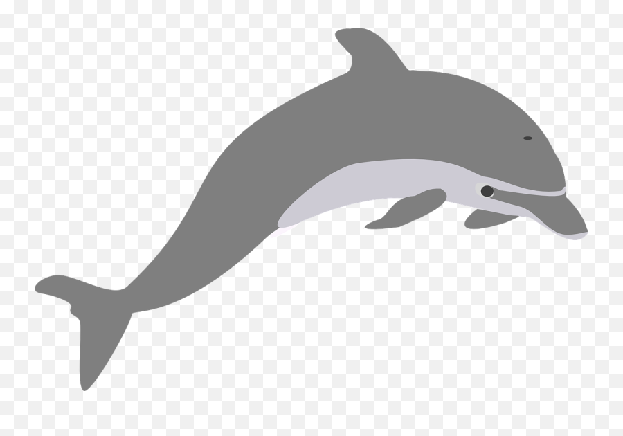 Download Free Png Dolphin - Backgroundtransparent Dlpngcom Transparent Dolphin Clip Art,Dolphin Transparent Background