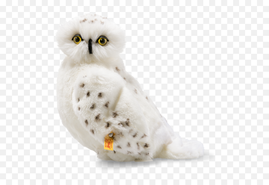 Hedwig Owl - Hedwig Eule Steiff Png,Hedwig Png