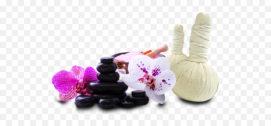 Download Thai Massage Png Image With No Background - Thai Massage Png,Massage Png