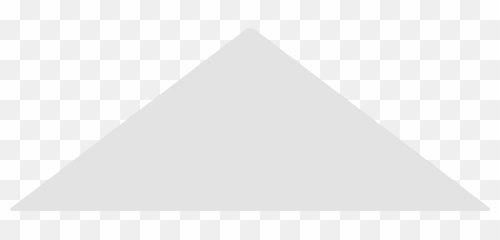 Terms Of Use - VFW Triangle Pdf png