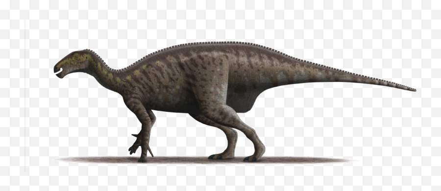 Filemantellisaurus Atherfieldensis Steveoc Transparentpng Png Steve Transparent