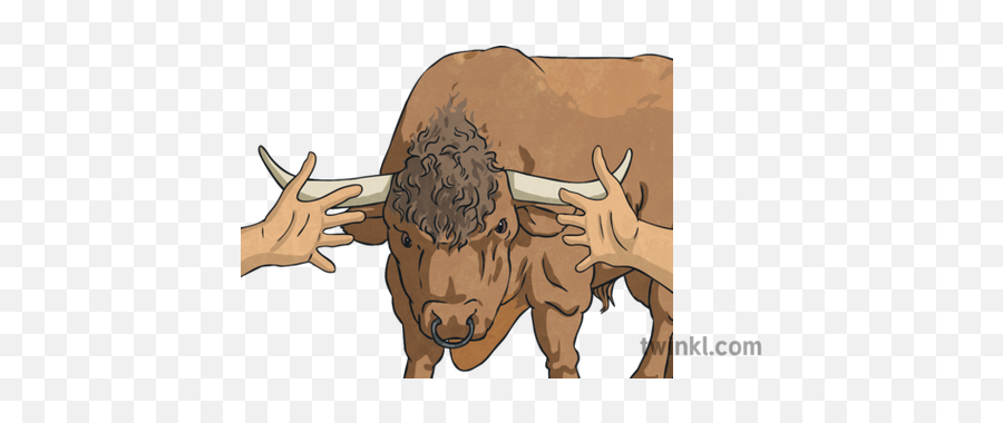 To Take The Bull By Horns Idioms Animal Hands Topics Ks2 Png Transparent