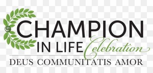2019 Champion In Life Celebration U2014 Building For God - Baclaran Elementary School png