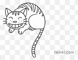 Cheshire Cat Feline Animal Ks1 Eyfs - Listening To Music Black And White Png,Cheshire Cat Smile Png