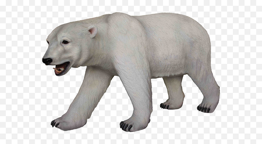 Download - Polarbearpngtransparentimagestransparent Polar Bear Png Transparent,Polar Bear Png