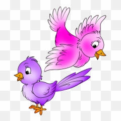 Bard Drawing Tropical Bird Picture 956045 Cartoon Png - Adorable Cartoon Bird Drawing,Bard Png