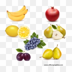 Exotic Natural Fruits Clipart With Transparent Background - Seedless Fruit Png,Fruit Clipart Png